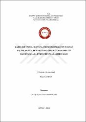 Küçük Resim
