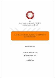 Küçük Resim