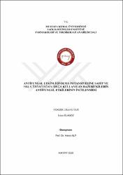 Küçük Resim