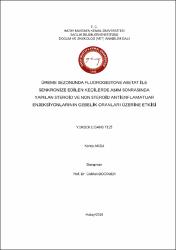 Küçük Resim